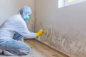 Best Mold Removal for HVAC Installations  in Canal Fulton, OH